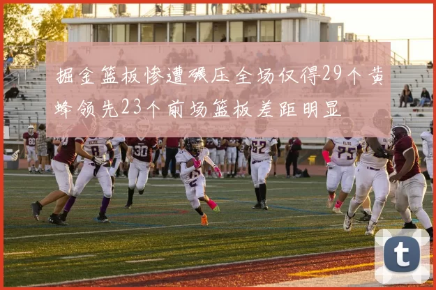 掘金篮板惨遭碾压全场仅得29个黄蜂领先23个前场篮板差距明显