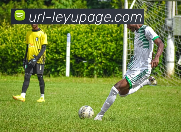 乐鱼体育APP 高清赛事图